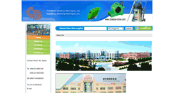 Desktop Screenshot of chaobao-china.com